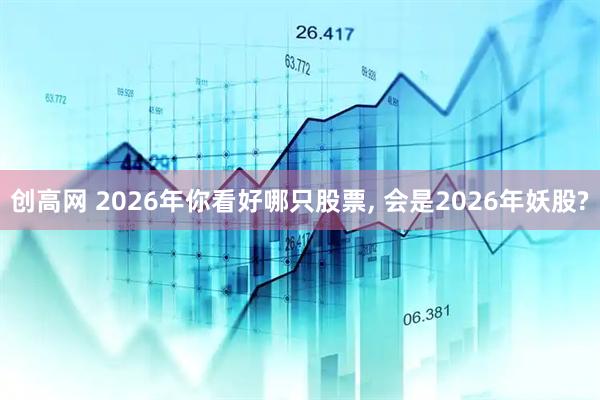 创高网 2026年你看好哪只股票, 会是2026年妖股?