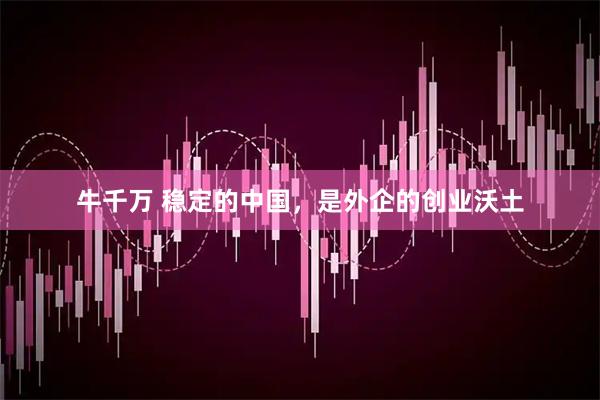 牛千万 稳定的中国，是外企的创业沃土