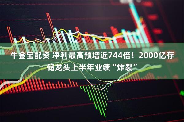 牛金宝配资 净利最高预增近744倍！2000亿存储龙头上半年业绩“炸裂”