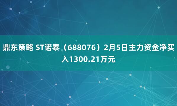 鼎东策略 ST诺泰(688076)2月5日主力资金净买入1300.21万元