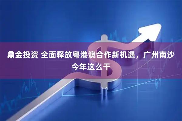 鼎金投资 全面释放粤港澳合作新机遇,广州南沙今年这么干