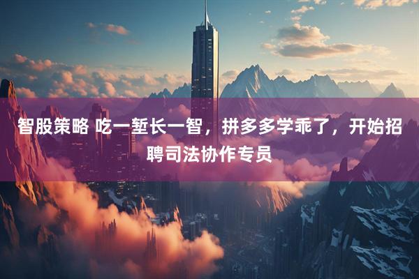 智股策略 吃一堑长一智，拼多多学乖了，开始招聘司法协作专员