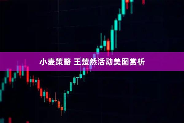 小麦策略 王楚然活动美图赏析