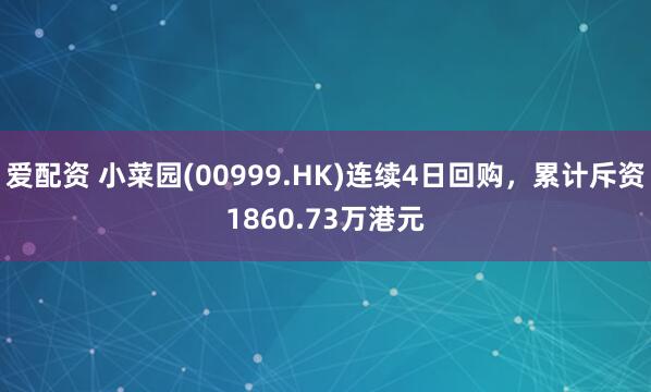爱配资 小菜园(00999.HK)连续4日回购，累计斥资1860.73万港元