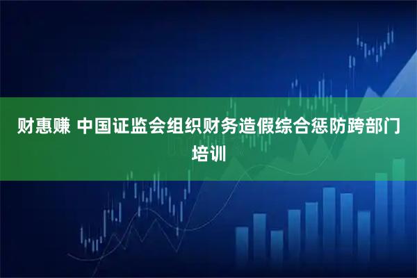 财惠赚 中国证监会组织财务造假综合惩防跨部门培训